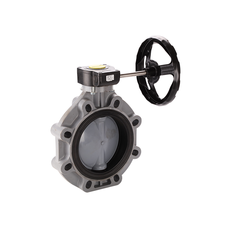 Butterfly Valve-Worm Vaihteen tyyppi